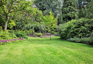 Optimiser l'expérience du jardin à Milly-la-Foret